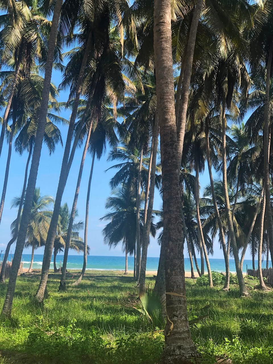 Terrain en vente — Mondoukou, côté mer